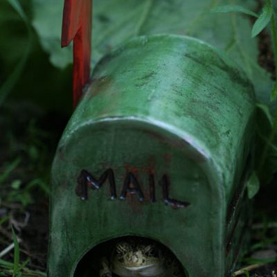 Mailbox Toad House by Heathyr Francis