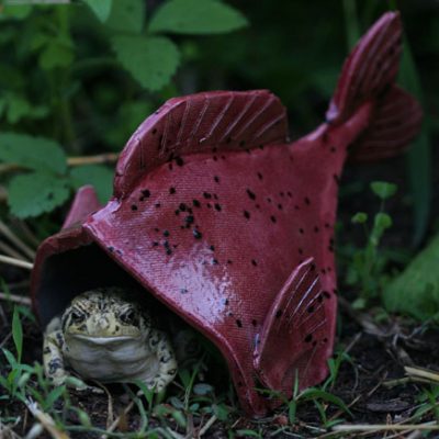 Fish Toad House by Heathyr Francis