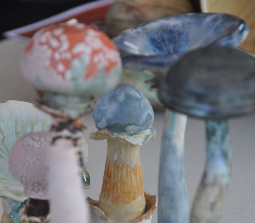 Colourful sculptural mushrooms
