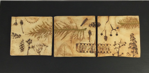 triptych set of tiles carved and imprinted with plants and found items - John Marris 